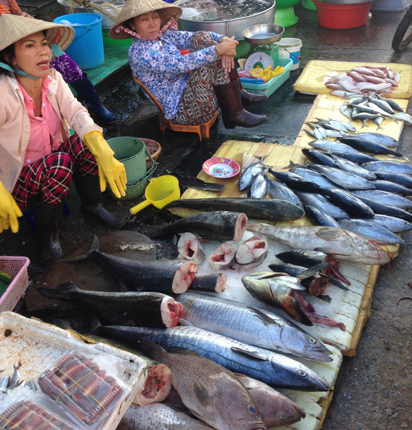 Chính sự phong phú và điểm gốc nên giá cả các loài hải sản ở đây rẻ từ 1,5 -2 lần so với giá đã quan tay các thương lái khi họ đưa về các địa phương khác.  - 20160202152156-9-phuquoc - Sắc Màu Tươi Rói Chợ Cá Dương Đông Phú Quốc