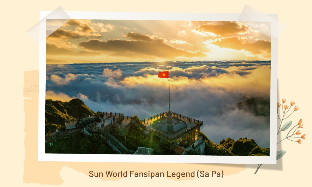 Sun World Fansipan Legend (Sa Pa)  - mobile_07 - Những đóa hoa dơn thóc nở trong sương gió