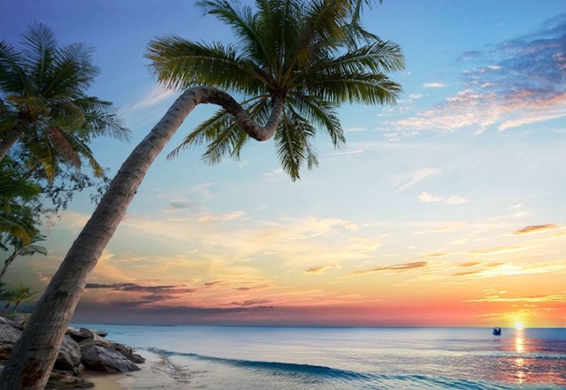 Bãi Dài là bãi biển nổi tiếng với dải cát trắng mịn màng, làn nước trong vắt cùng những hàng cây xanh ngọc ôm trọn bờ biển. - WikiLand