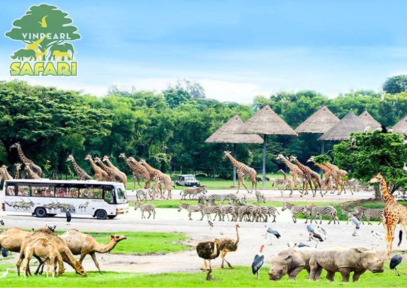 Phú Quốc có vườn thú Safari lớn nhất Việt Nam