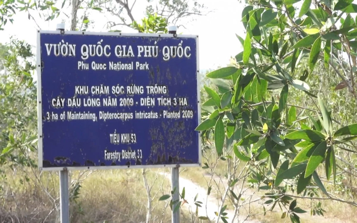 Hàng ngàn Giấy chứng nhận quyền sử dụng đất được cấp chồng lấn với diện tích Vườn Quốc gia Phú Quốc