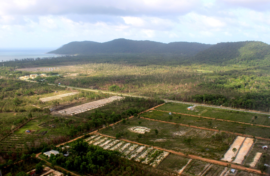 Nhiều diện tích rừng phòng hộ tại thị trấn Dương Đông, huyện Phú Quốc đã bị các doanh nghiệp tư nhân lấn chiếm, chặt phá, chuyển nhượng trái quy định