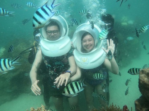 Trải nghiệm lặn biển ngắm san hô trên đảo ngọc Phú Quốc  - Lan-ngam-san-ho-phu-quoc-wikiphuquoc - Trải nghiệm lặn biển ngắm san hô trên đảo ngọc Phú Quốc