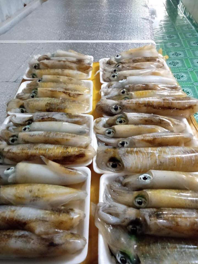 Dịch bệnh vắng khách du lịch, giá nhiều loại hải sản Phú Quốc giảm sâu  - photo-1-163058593238973310152 - Dịch bệnh vắng khách du lịch, giá nhiều loại hải sản Phú Quốc giảm sâu