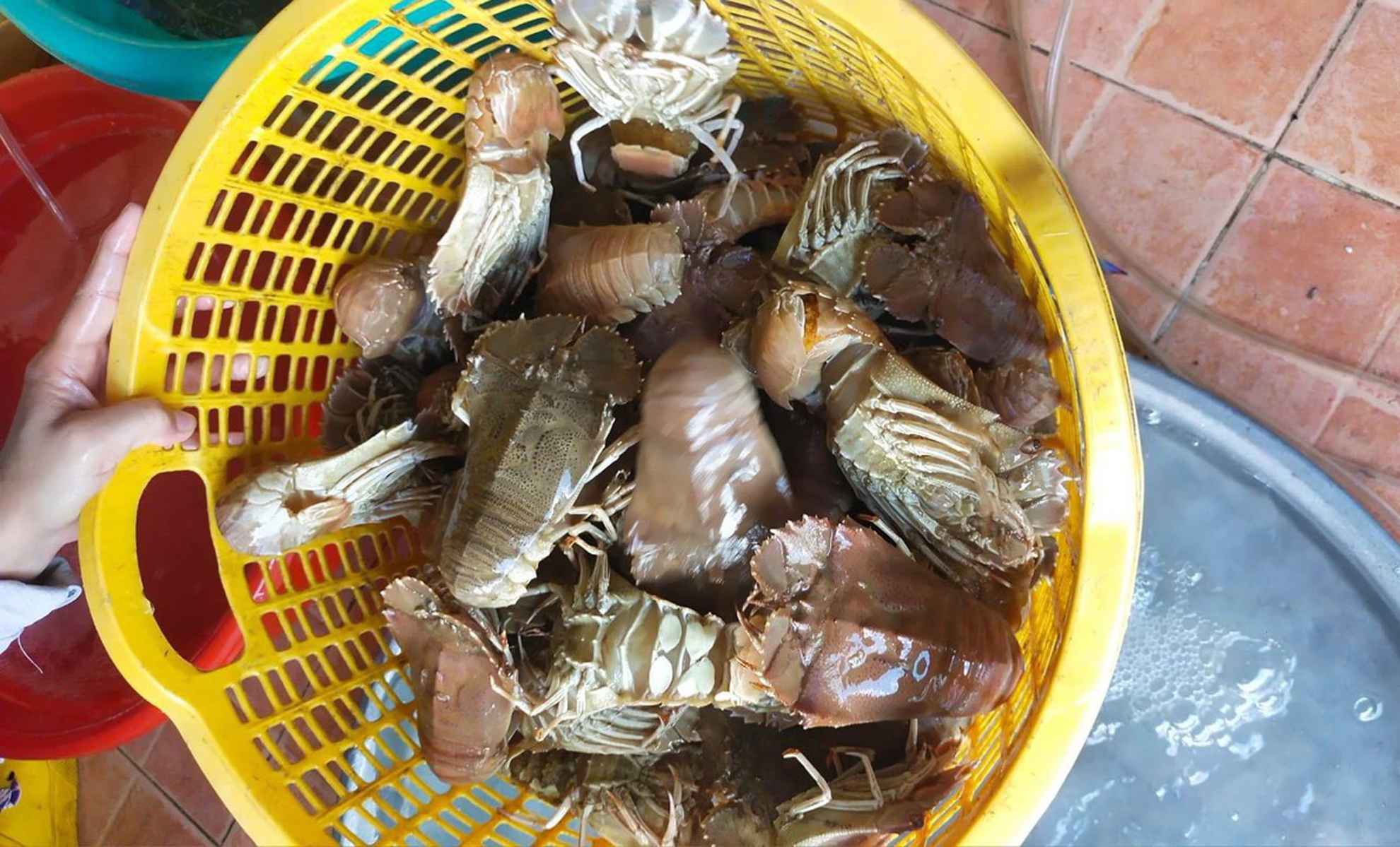 Hai san Phu Quoc giam gia anh 1  - tom_ - Hải sản Phú Quốc giảm giá một nửa