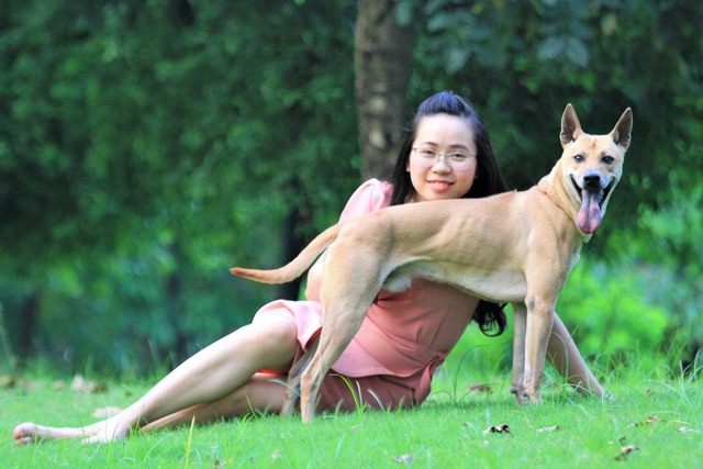 Cô dược sĩ đam mê nuôi chó Phú Quốc, sở hữu ba khuyển vương trị giá một tỷ đồng - Ảnh 8. - WikiLand  - photo-7-1653375712340258873441 - Cô dược sĩ đam mê nuôi chó Phú Quốc, sở hữu ba &#8220;khuyển vương&#8221; trị giá một tỷ đồng